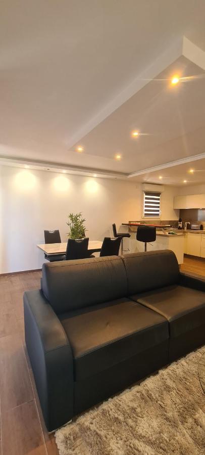 Ferienwohnung Le Cocon Du Leman Viry  Exterior foto
