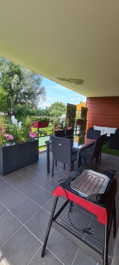 Ferienwohnung Le Cocon Du Leman Viry  Exterior foto