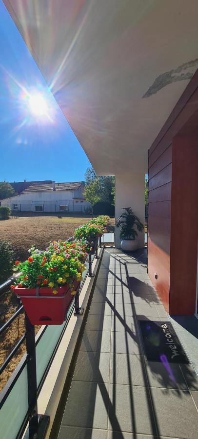 Ferienwohnung Le Cocon Du Leman Viry  Exterior foto